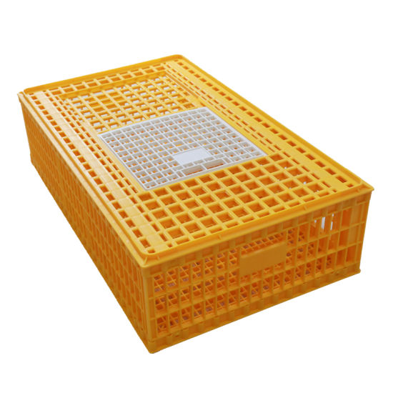 Transport Crate